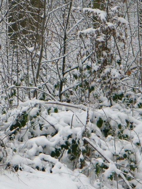 Comme aux sports d'hiver