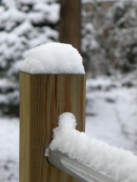 Pas de muscu aujourd'hui