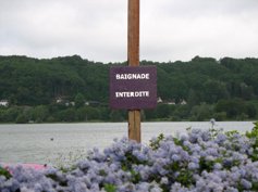 baignade