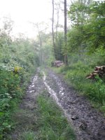 19_km83.JPG