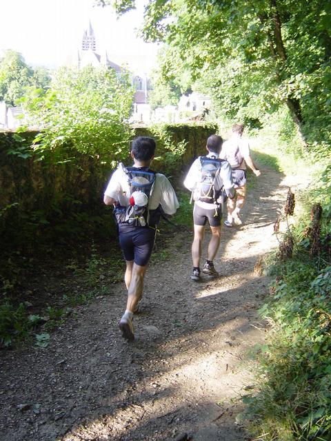 Forêt de Montmorency