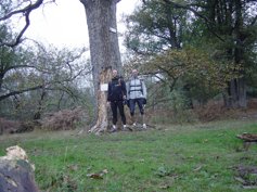 Forêt enchantée
