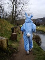Trotte trotte petit lapin