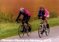 CR Mennecy-Montargis-Mennecy