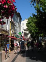 DSCN0612-480x640.jpeg