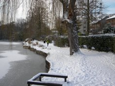 Etang
