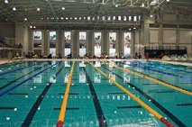 The pool