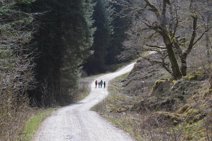 Chemin d'Inversnaid à Aberfoyle