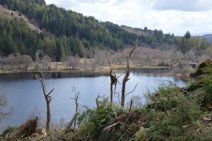 Loch Dhu
