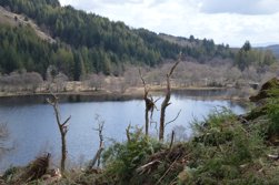 Loch Dhu