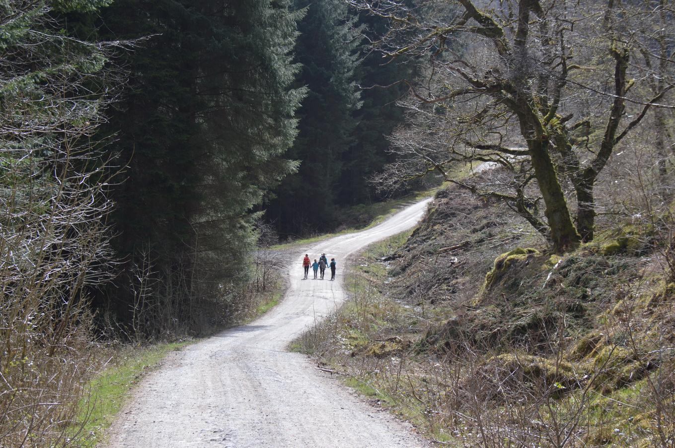 Chemin d'Inversnaid à Aberfoyle