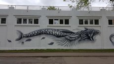 Le mystère du poisson chien
