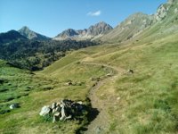 Call of the trail