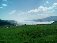 A random landscape