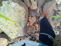 Point of view