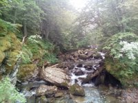 Stream