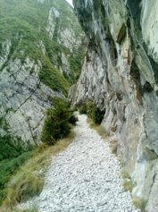 Chemin de la Mâture