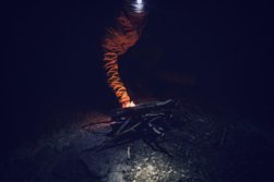 Le feu