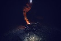 Le feu