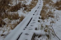 Traces de pas