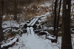 Timber bridge