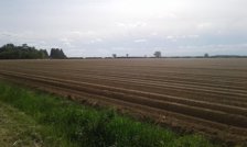 La Beauce