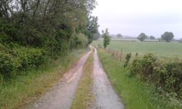 Le chemin maudit