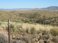 TS06 - Congress, AZ