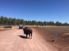 Flagstaff, AZ