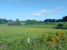 La campagne