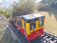 The Incline