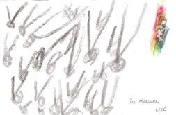 Les oiseaux